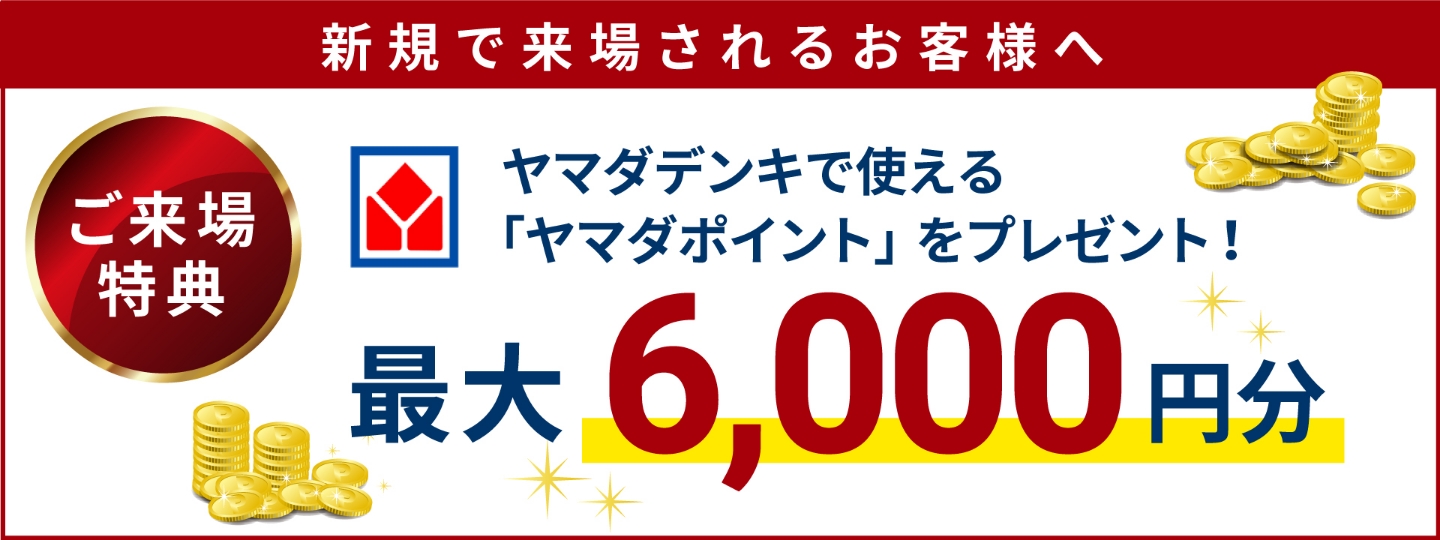 ヤマダポイントプレゼント最大6000円分
