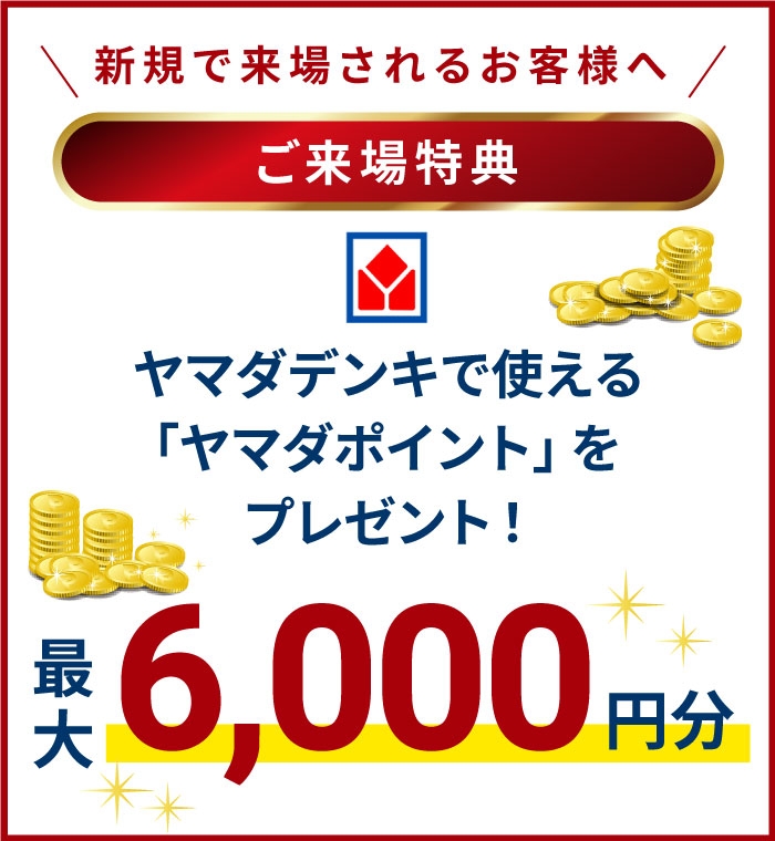 ヤマダポイントプレゼント最大6000円分