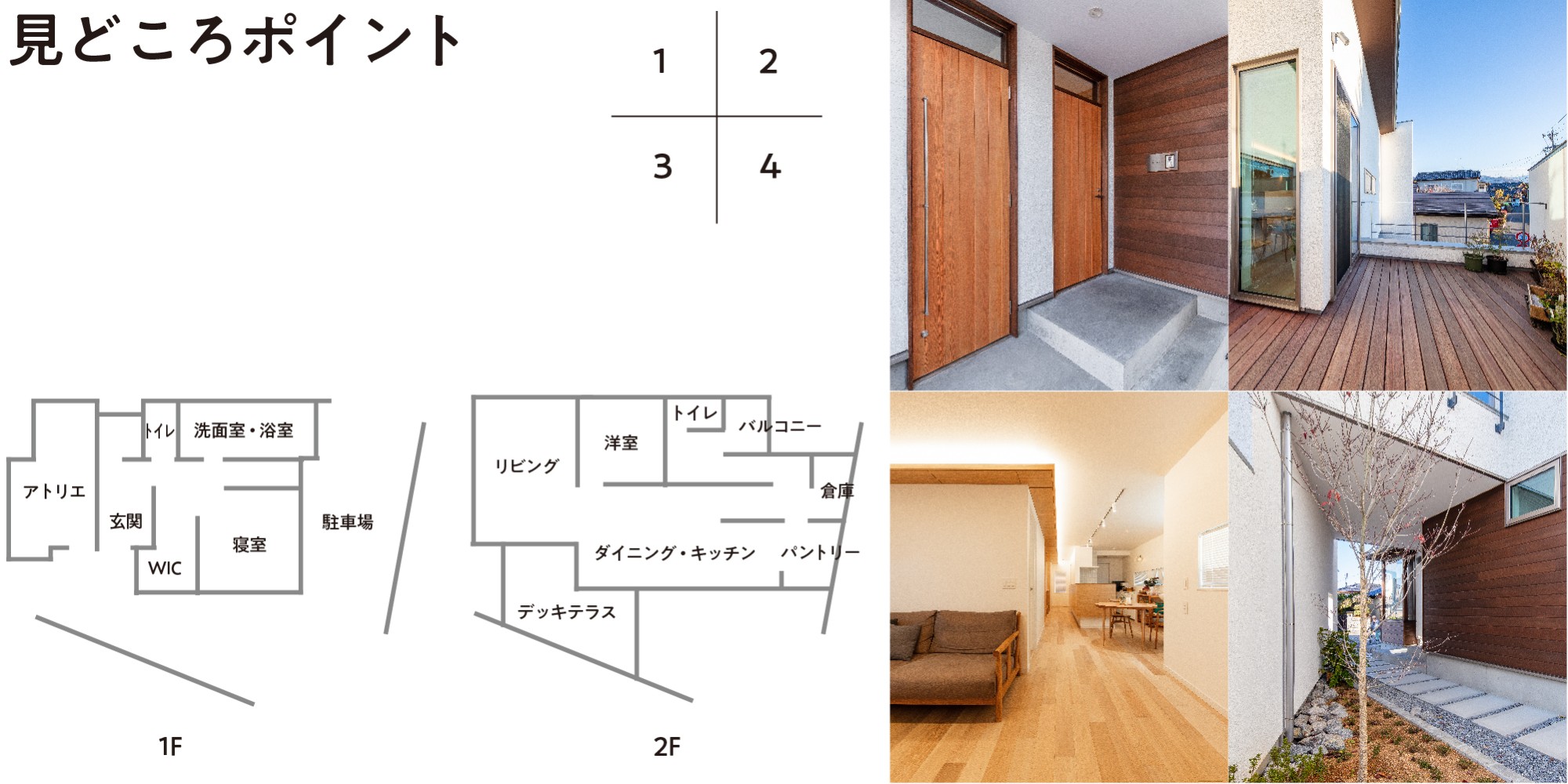 見どころポイント