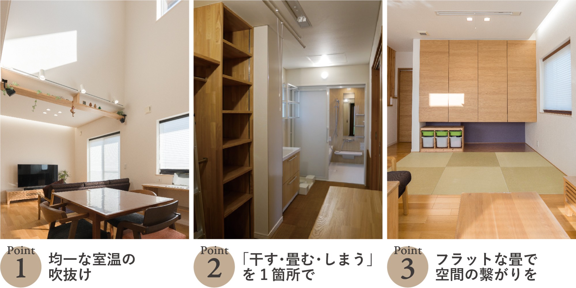 見どころポイント