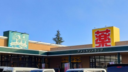 アメリカンドラッグ長野豊野店 約700m 徒歩9分