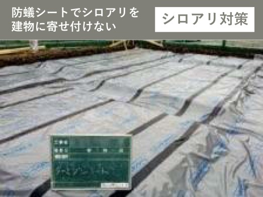 シロアリ対策（ターミダンシート）
