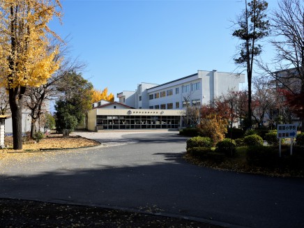 長野市立南部小学校まで800m
