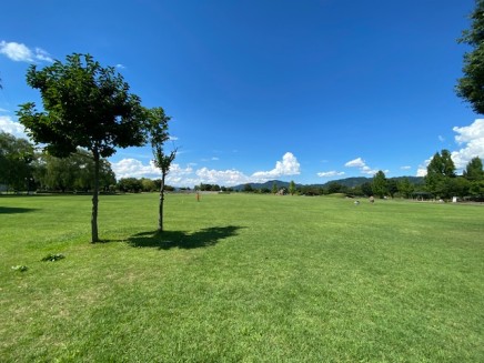 南部総合公園 約2,300m 車4分