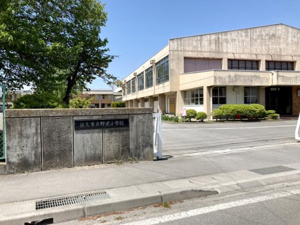 野沢小学校 1100m 徒歩14分
