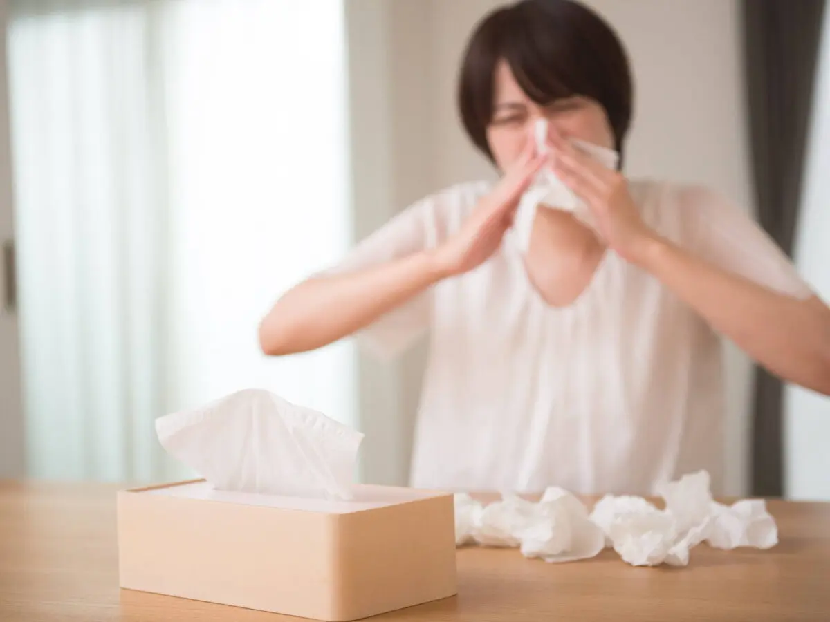 家の空気が違う！「花粉症にならない家づくり」毎日を快適に