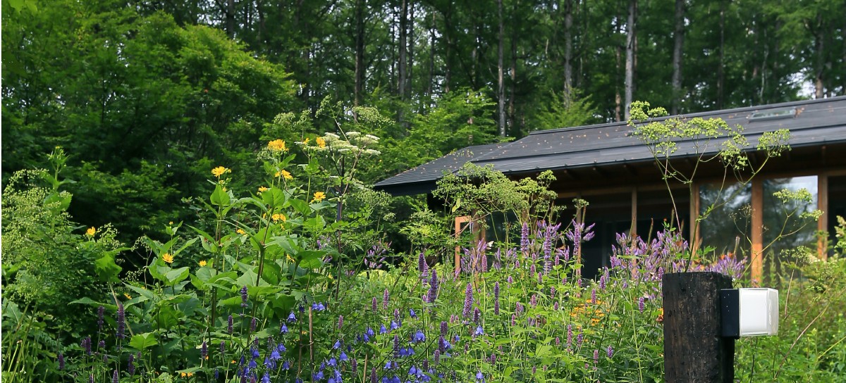 庭にはたくさんの植物を