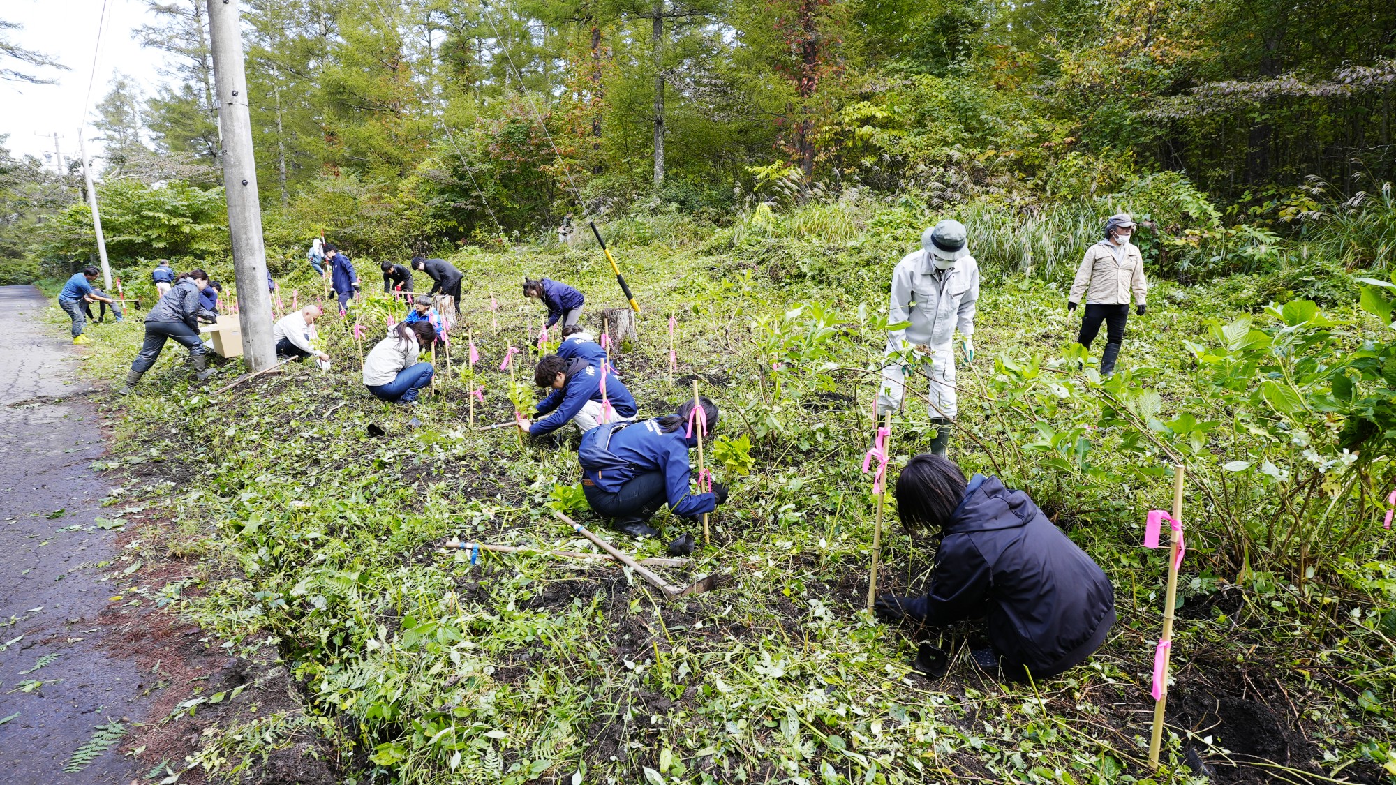 CSR活動の実施（森林の里親促進事業）