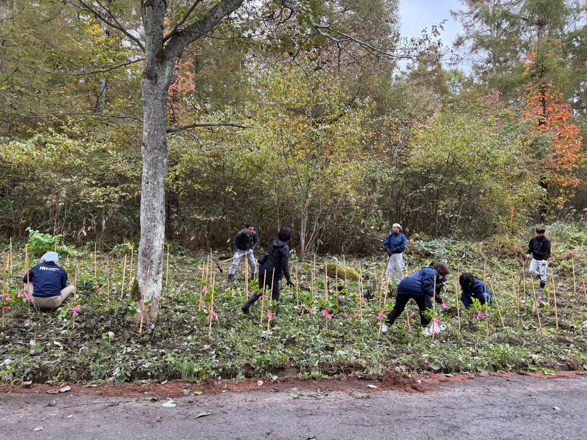 【CSR活動】霊仙寺湖のあじさいを守る、森林整備を行いました