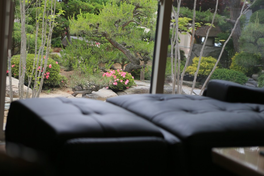 リビングから眺める日本庭園